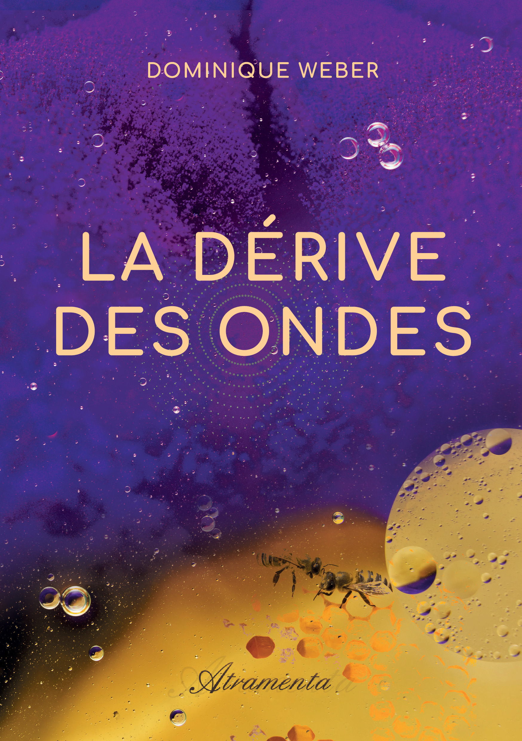 ebook cover of La dérive des ondes, by Dominique Weber