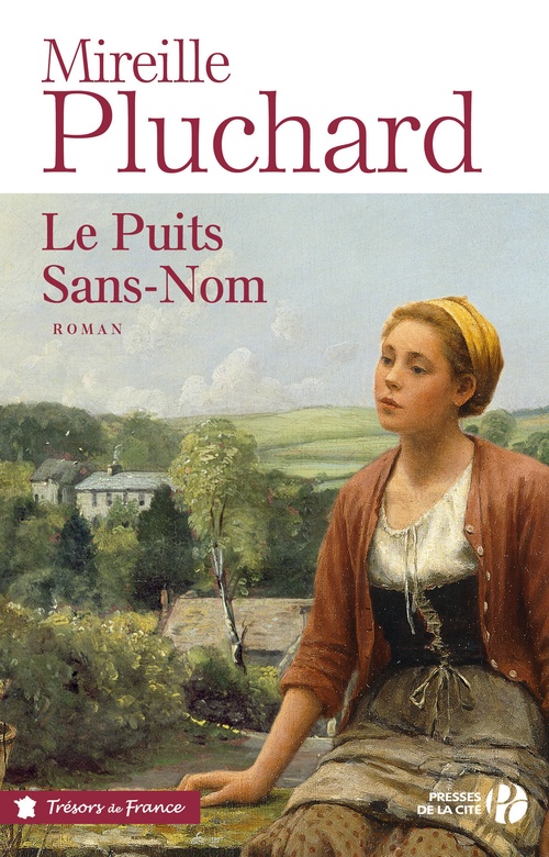 Couverture ebook de Le puits sans-nom, de Mireille Pluchard