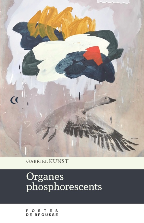 Couverture ebook de Organes phosphorescents, de Gabriel Kunst