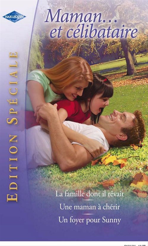 Couverture ebook de Maman... et célibataire, de Liz Fielding, Lindsay Longford, Karen Rose Smith