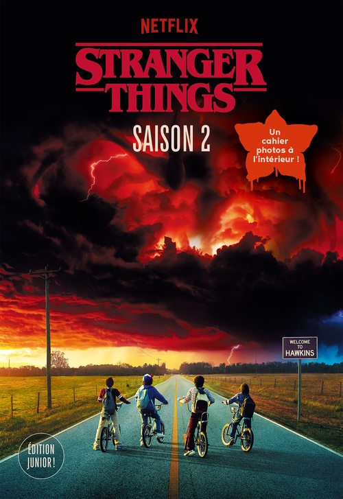 ebook cover of Stranger Things - Saison 2, by Matthew J. Gilbert