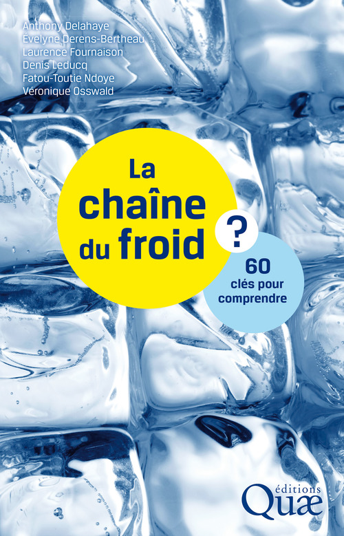 Couverture ebook de La chaîne du froid, de Anthony Delahaye, Evelyne Derens-Bertheau, Laurence Fournaison, Denis Leducq, Fatou-Toutie Ndoye, Véronique Osswald