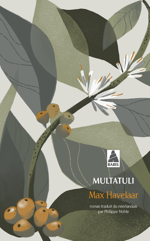 Couverture ebook de Max Havelaar, de Multatuli