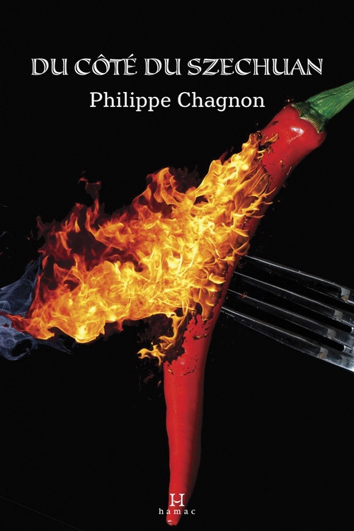 ebook cover of Du côté du Szechuan, by Philippe Chagnon