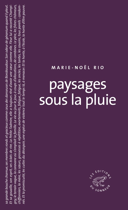 ebook cover of Paysages sous la pluie, by Marie-noël Rio