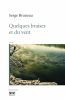 ebook cover of Quelques braises et du vent, by Bruneau Serge