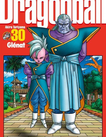 ebook cover of Dragon Ball perfect edition - Tome 30, by Akira Toriyama