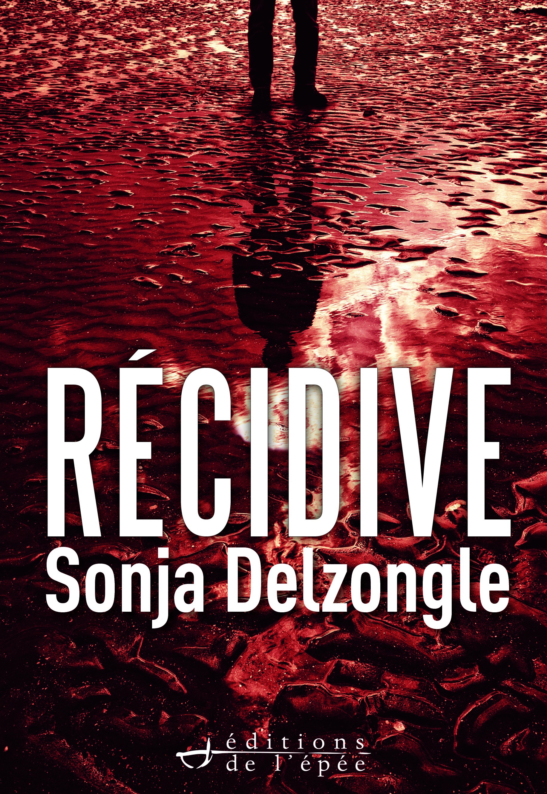 ebook cover of Récidive, by Sonja Delzongle