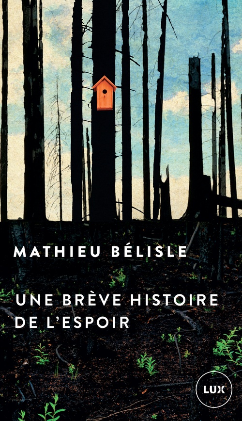 ebook cover of Une brève histoire de l'espoir, by Mathieu Bélisle