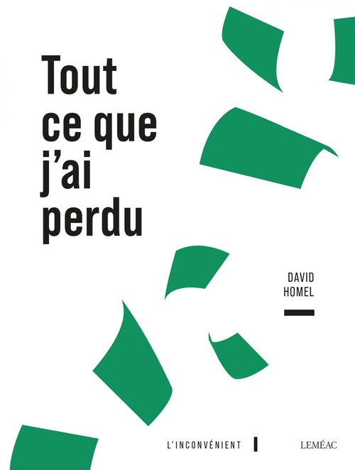 Couverture ebook de Tout ce que j'ai perdu, de David Homel