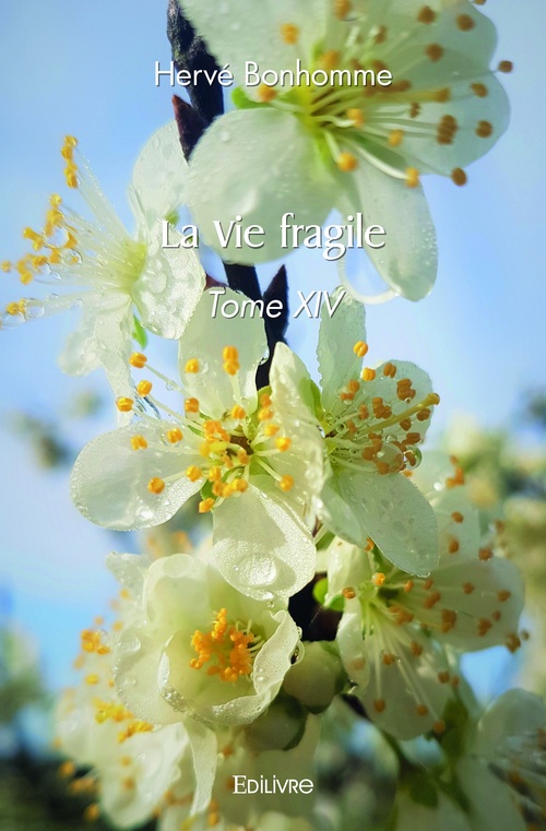 ebook cover of La Vie fragile, by Hervé Bonhomme