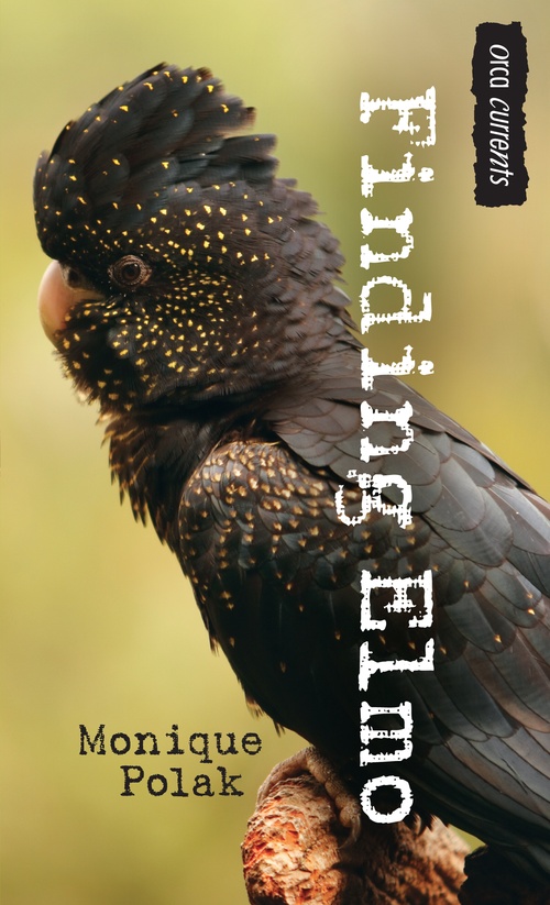 Couverture ebook de Finding Elmo, de Monique Polak