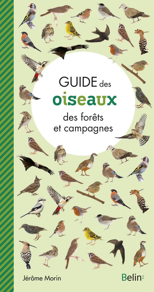 Couverture ebook de Guide des oiseaux des forêts et campagnes, de Jérôme Morin