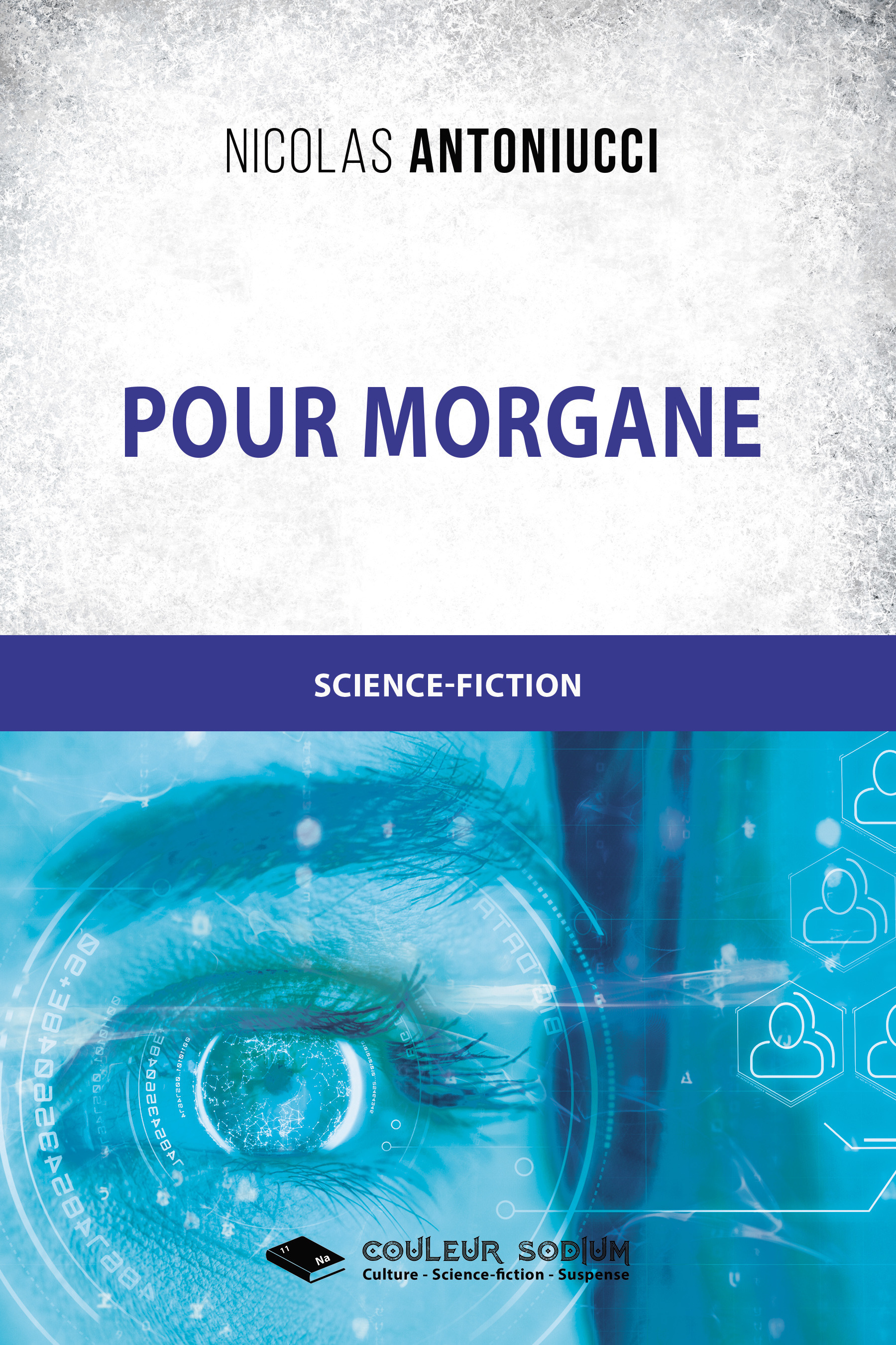 ebook cover of Pour Morgane, by Nicolas Antoniucci