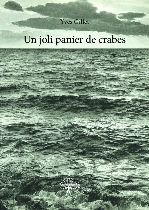 ebook cover of Un joli panier de crabes, by Yves Gillet