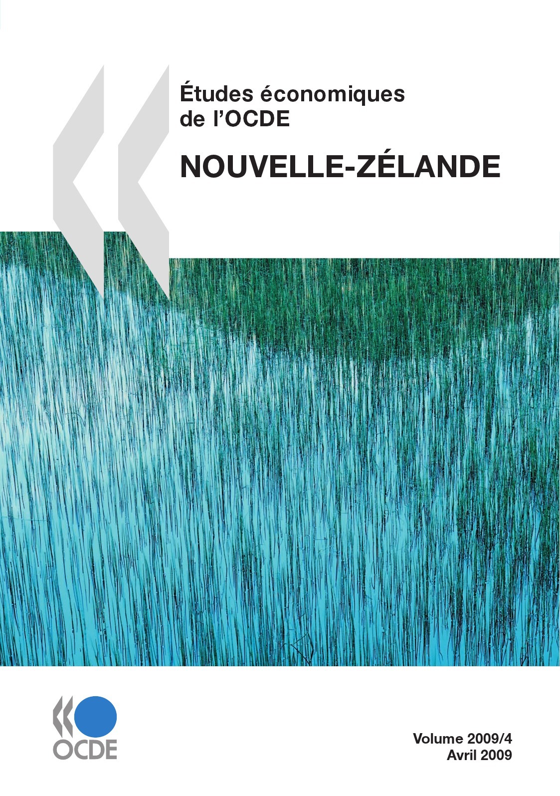 ebook cover of Études économiques de l'OCDE : Nouvelle-Zélande 2009, by Collectif