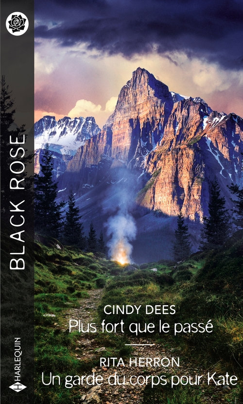 Couverture ebook de Plus fort que le passé - Un garde du corps pour Kate, de Cindy Dees, Rita Herron