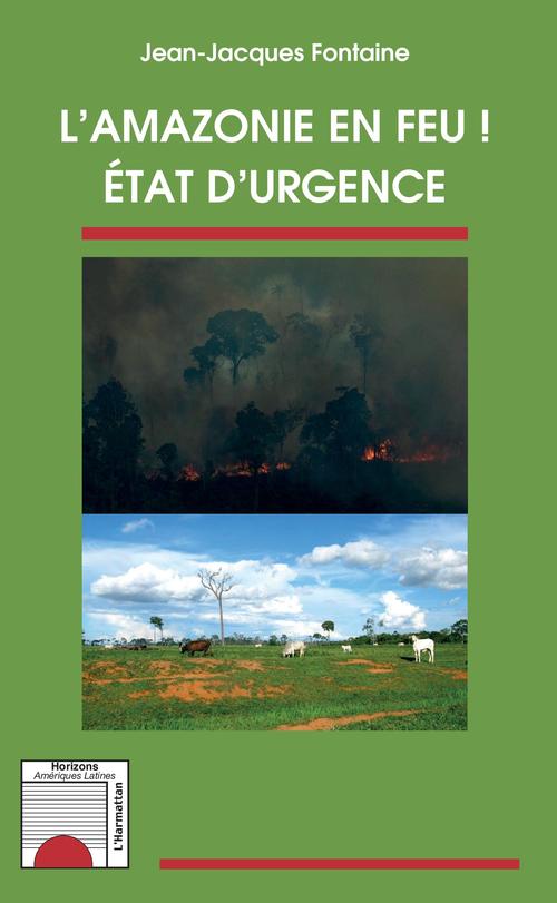 ebook cover of L'Amazonie en feu !, by Jean-Jacques Fontaine