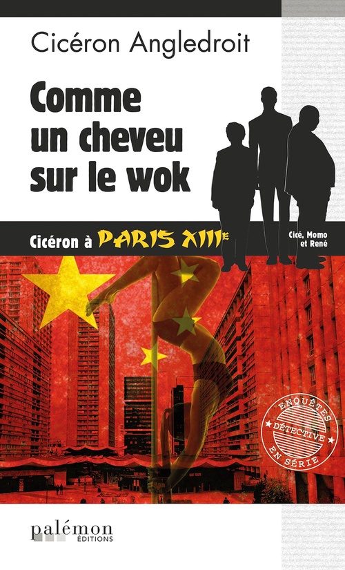 ebook cover of Comme un cheveu sur le Wok, by Cicéron Angledroit