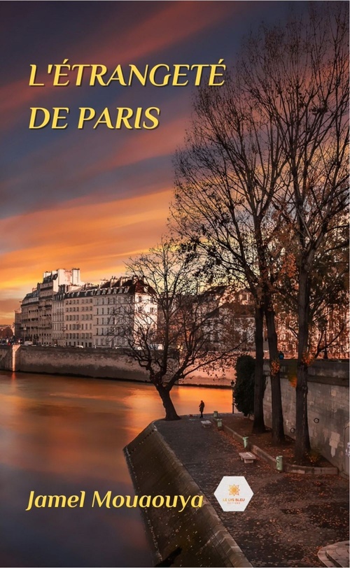 ebook cover of L'étrangeté de Paris, by Jamel Mouaouya