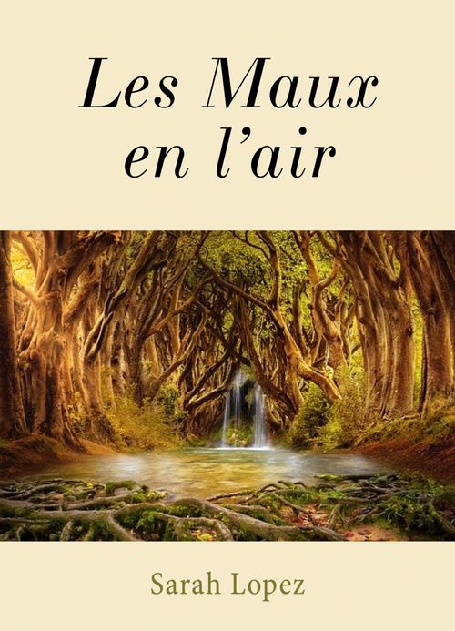 Couverture ebook de Les Maux en l'air, de Sarah Lopez