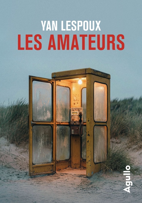 ebook cover of Les Amateurs - Il était une fois dans le Médoc, by Yan Lespoux