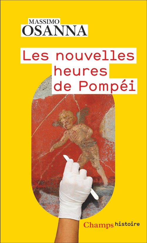 ebook cover of Les nouvelles heures de Pompéi, by Massimo Osanna