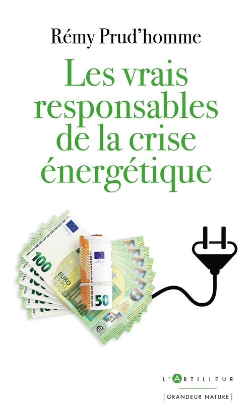 ebook cover of Les vrais responsables de la crise énergétique, by Rémy Prud'homme