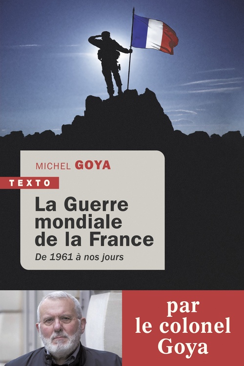 ebook cover of La guerre mondiale de la France, by Michel Goya