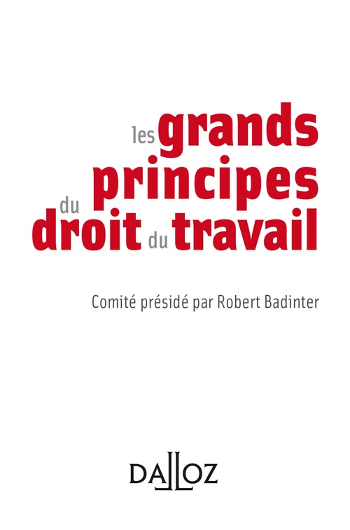 Couverture ebook de Les principes essentiels du droit du travail, de Collectif