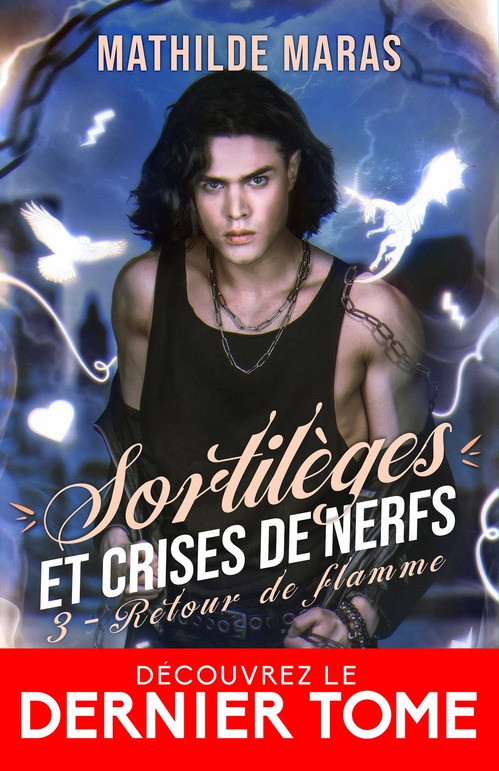 Couverture ebook de Retour de flamme, de Mathilde Maras