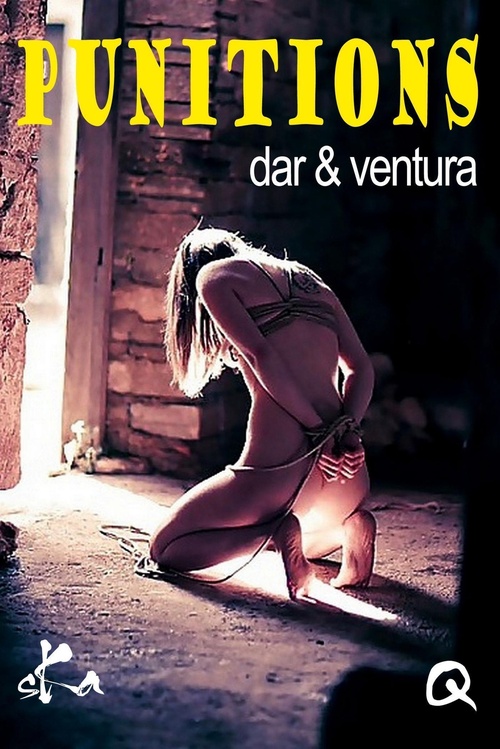 ebook cover of Punitions, by Dar Et Ventura
