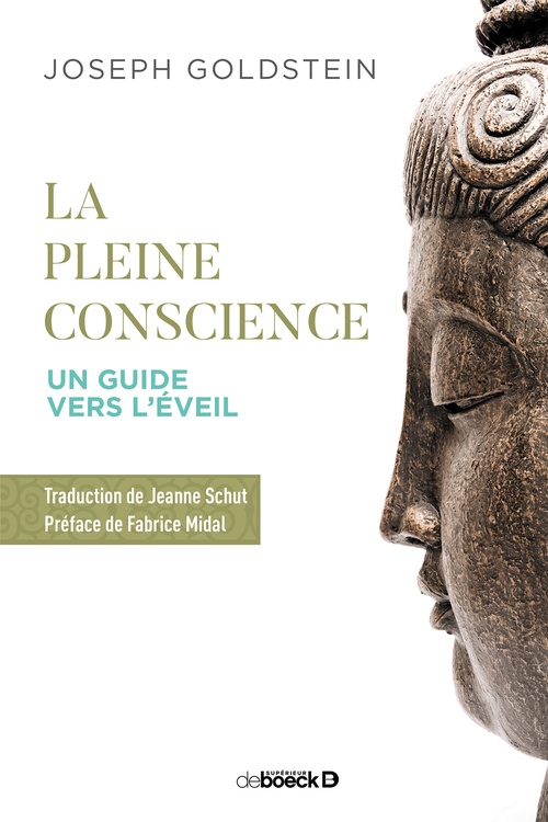 ebook cover of La pleine conscience, by Joseph Goldstein