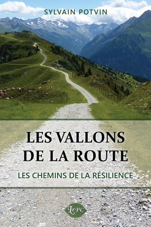 ebook cover of Les vallons de la route, by Sylvain Potvin