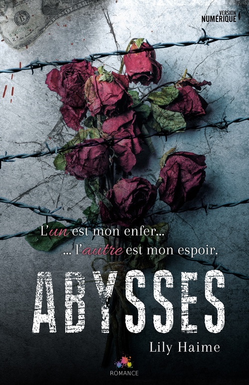 Couverture ebook de Abysses, de Lily Haime