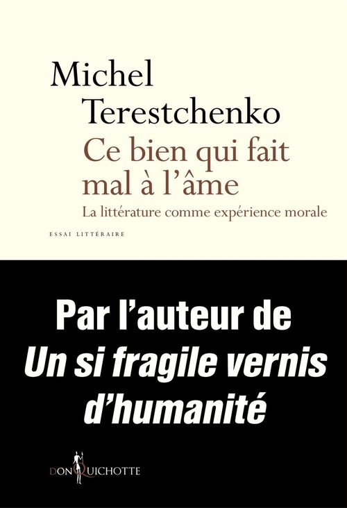 ebook cover of Ce bien qui fait mal à l'âme. La Littérature comme expérience morale, by Michel Terestchenko