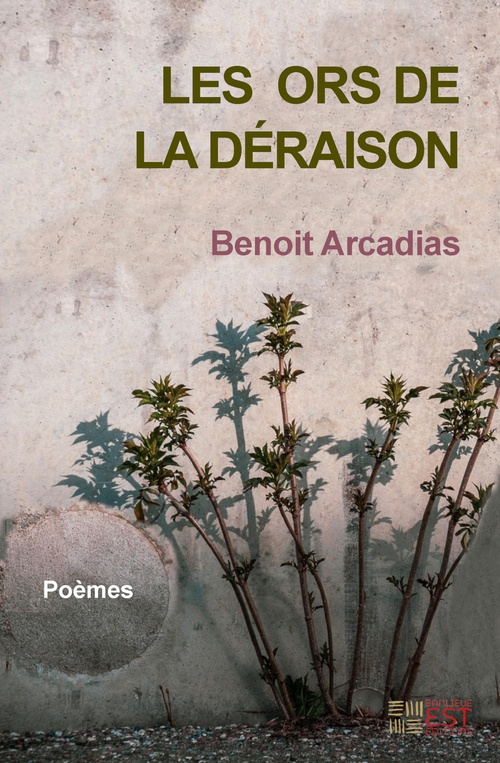 Couverture ebook de Les Ors de la Déraison, de Benoît Arcadias