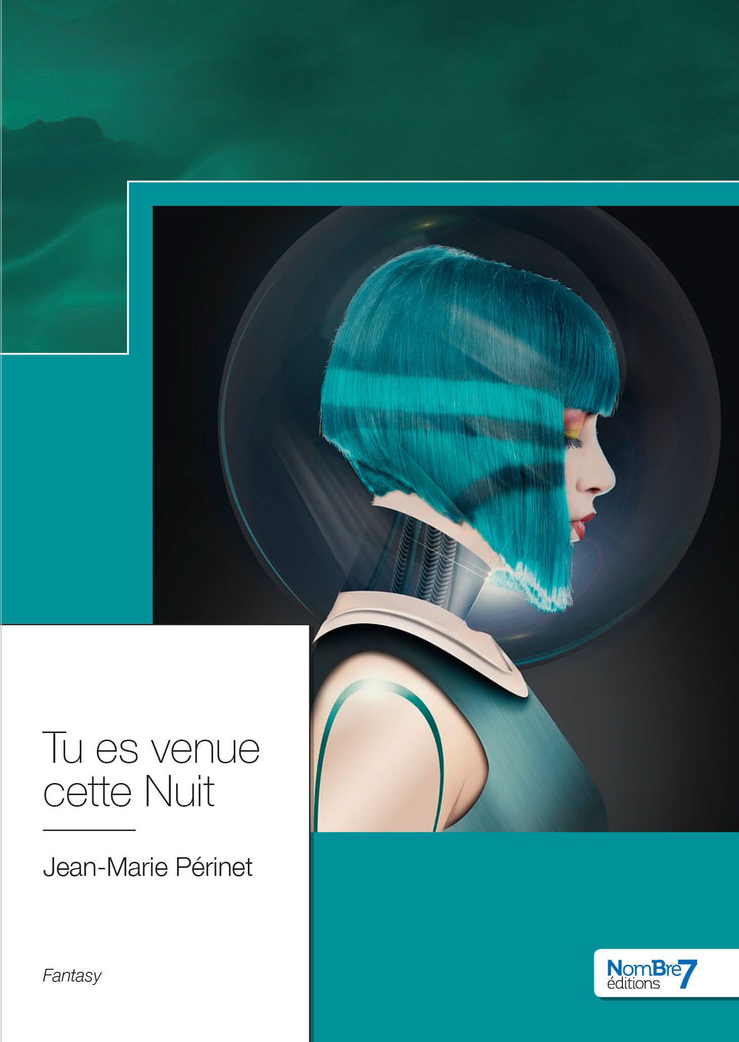ebook cover of Tu es Venue cette Nuit, by Jean-Marie Périnet