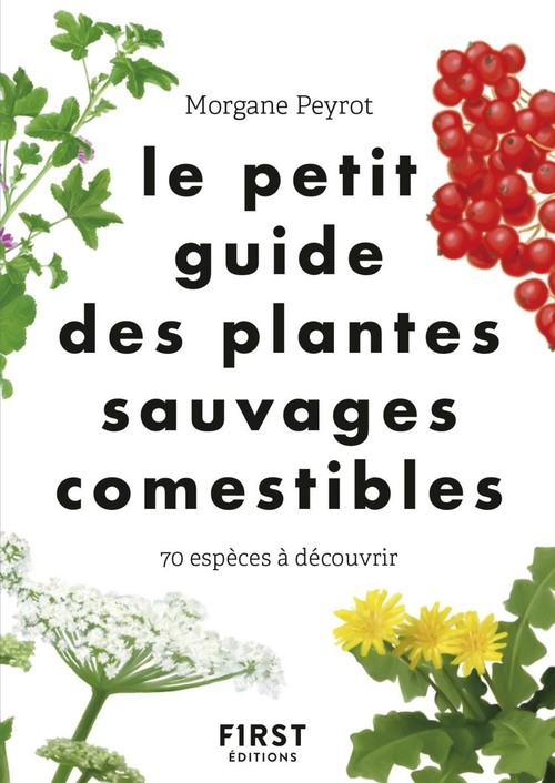 ebook cover of Le Petit guide des plantes sauvages comestibles, by Lise Herzog, Morgane Peyrot