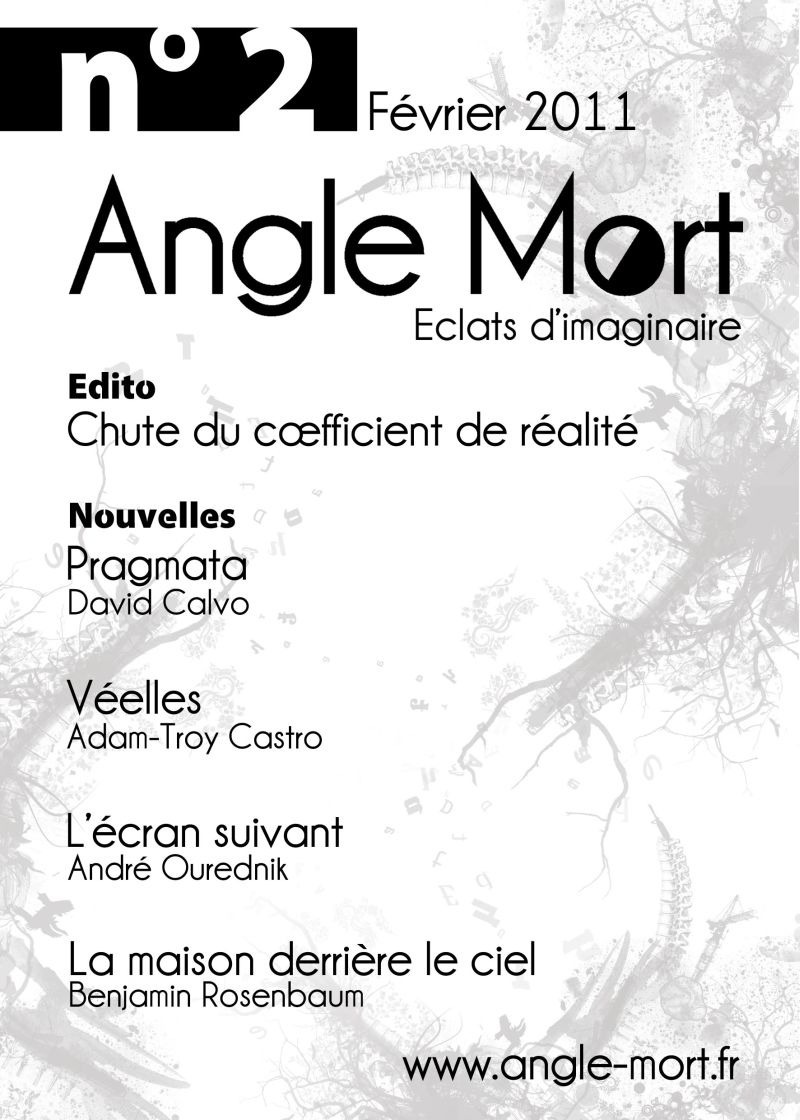 ebook cover of Angle Mort numéro 2, by Revue Angle Mort