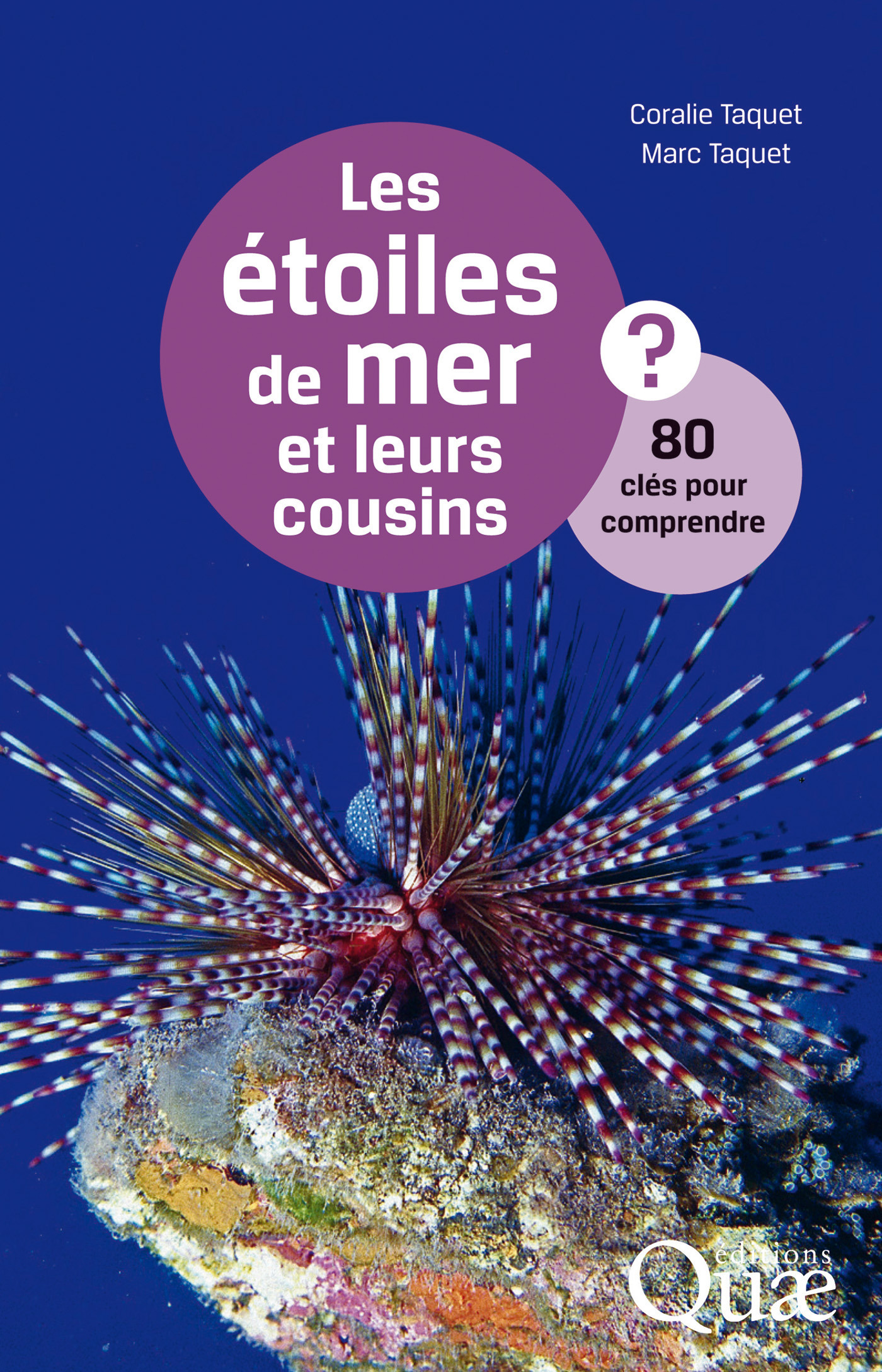Couverture ebook de Les étoiles de mer et leurs cousins, de Coralie Taquet, Marc Taquet