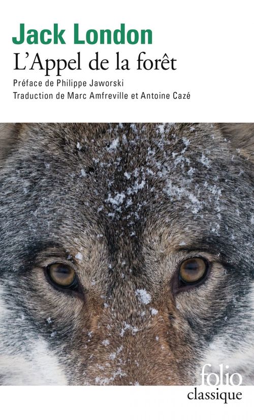 ebook cover of L'Appel de la forêt, by Jack London
