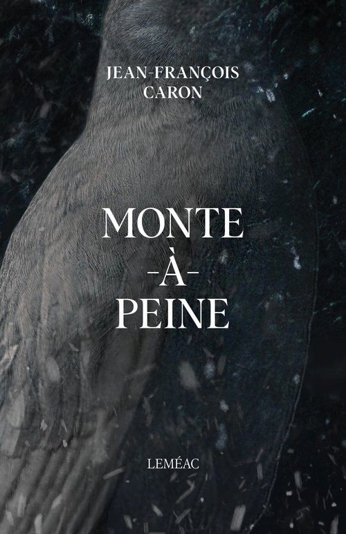 Couverture ebook de Monte-à-Peine, de Jean-François Caron