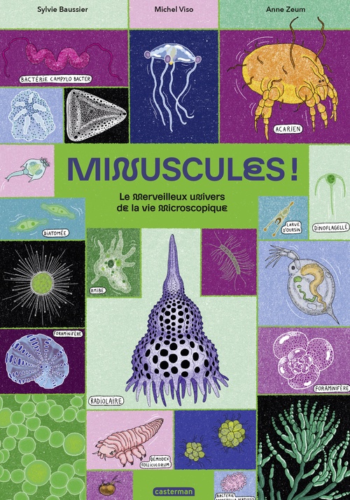 ebook cover of Minuscules ! Le merveilleux univers de la vie microscopique, by Sylvie Baussier, Michel Viso, Anne Zeum