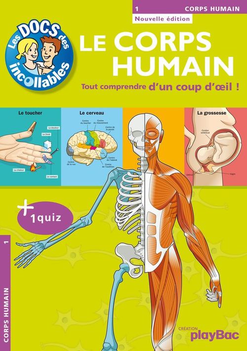 ebook cover of Les Incollables : Le Corps Humain, by Collectif