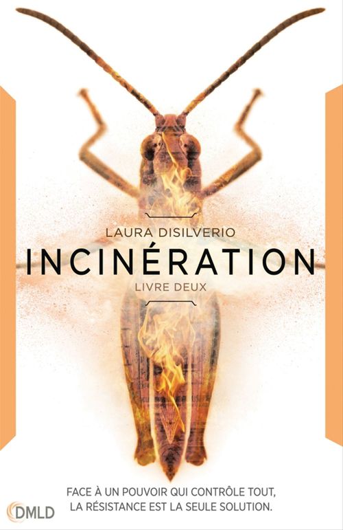 Couverture ebook de Incinération, de Laura DiSilverio