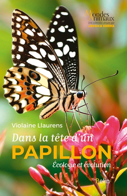 Couverture ebook de Dans la tête d'un papillon, de Violaine LLAURENS
