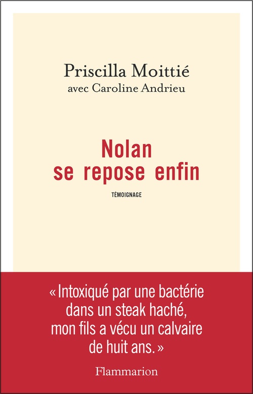 ebook cover of Nolan se repose enfin, by Priscilla Moittié