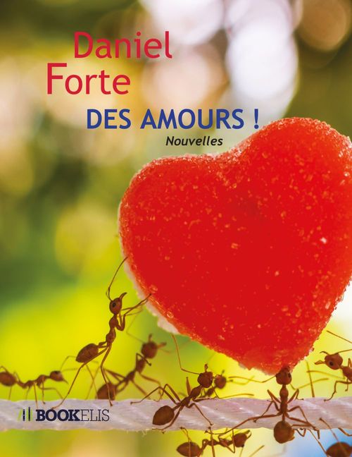 ebook cover of DES AMOURS !, by Daniel Forte