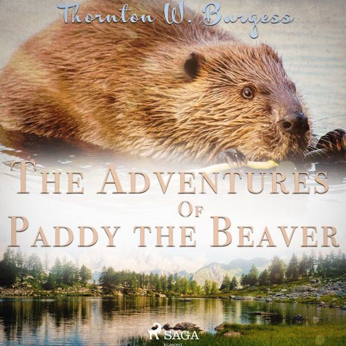 Couverture audiobook de The Adventures of Paddy the Beaver, de Thornton W. Burgess